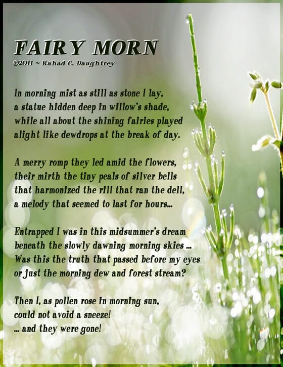 lovely field in morning light