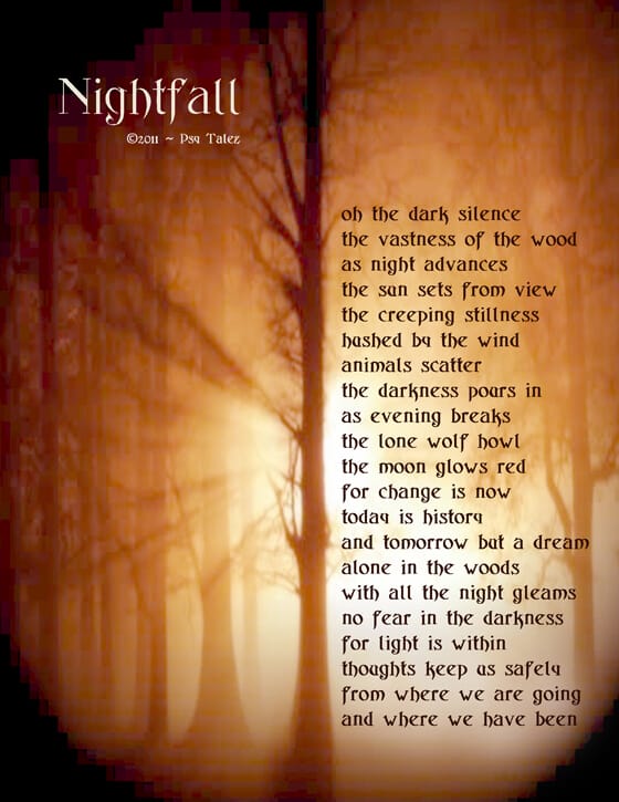 a forest at golden dusk