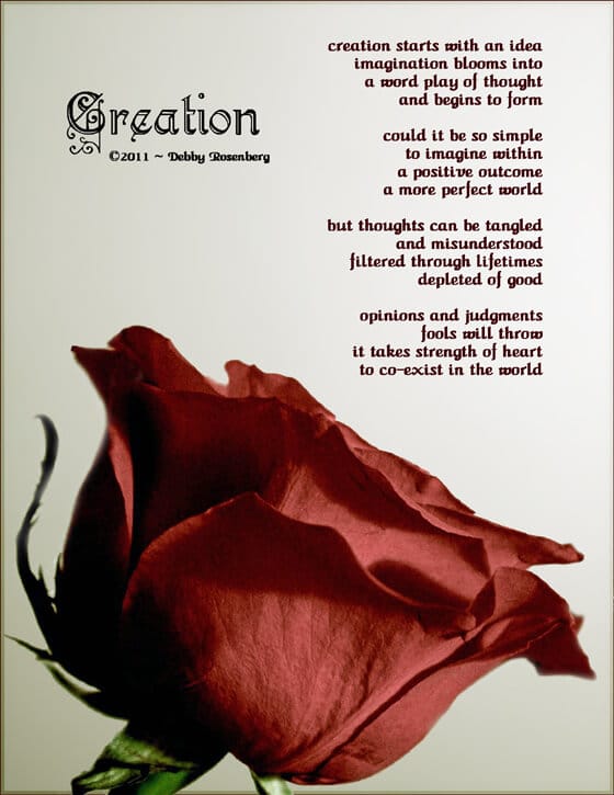 single, brilliant red rose