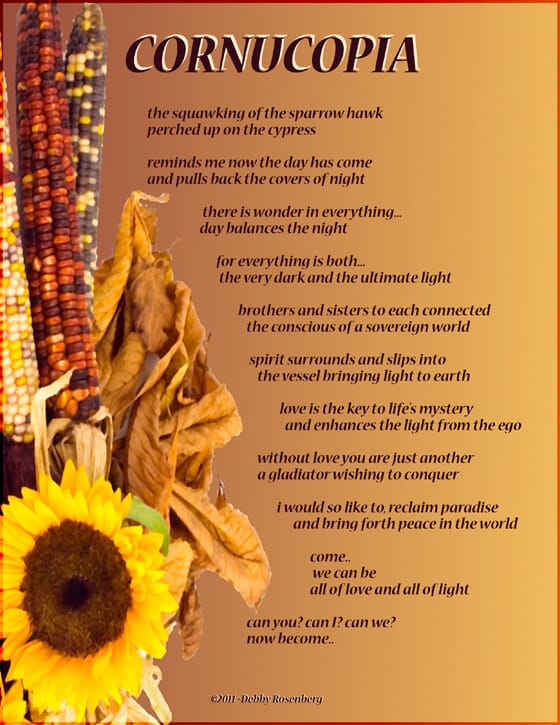 a collection of harvest items