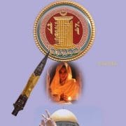 Pure Vision Book Cover