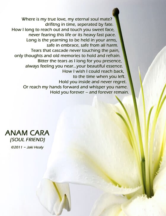 Close-up of a pristine white lily flower