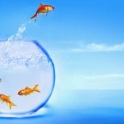 highly-sensitive-person_OMTimes