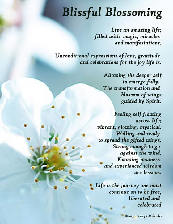 Lovely white spring flowers on a light blue background