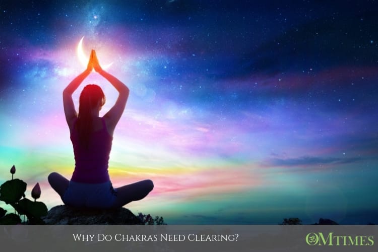 chakras OMTimes
