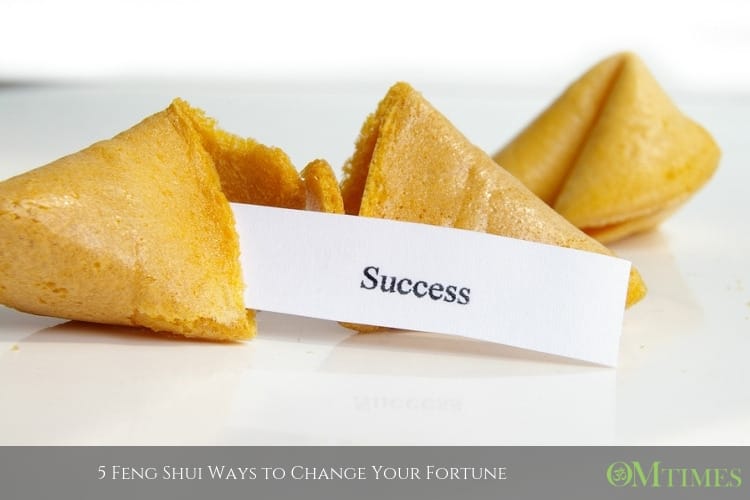 fortune OMTimes