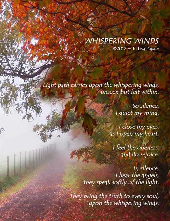 Misty country road with lovely trees and colors 