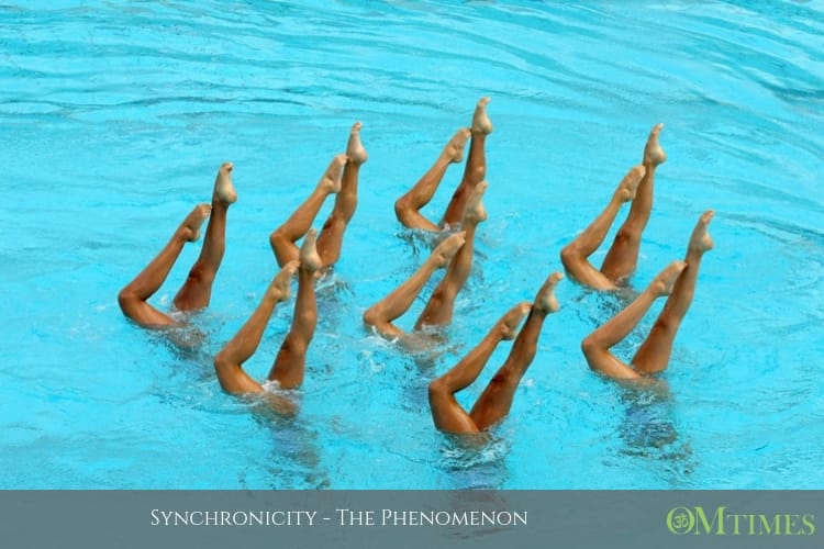 Synchronicity OMTimes