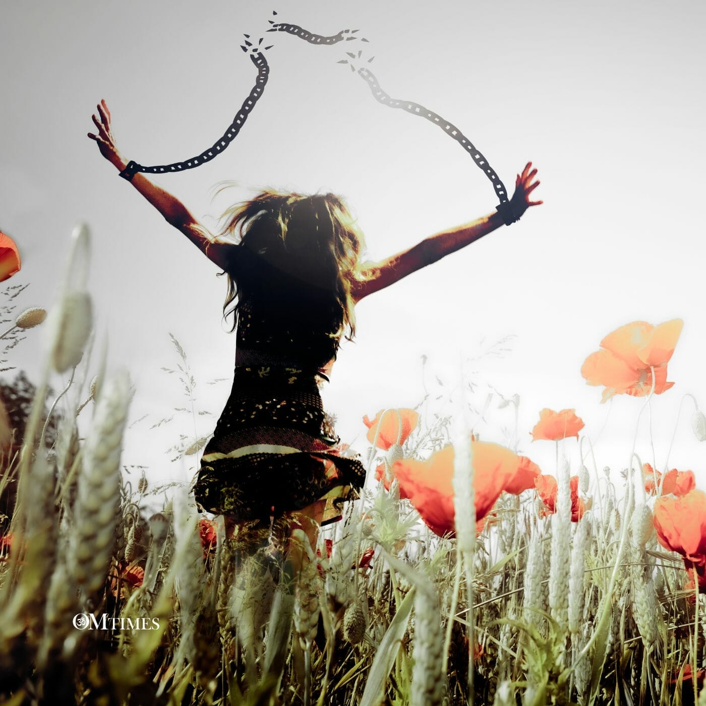 The Art of Surrender