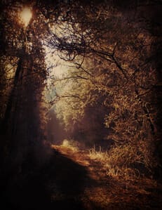 CHAPTER 11 TITLE PAGE - small Sacred Vow, soul mate, romance, ceremony, metaphysical, dimensions, tea, CG Walters