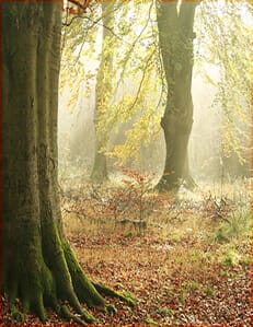 CHAPTER 9 TITLE PAGE - small Sacred Vow, soul mate, romance, ceremony, metaphysical, dimensions, tea, CG Walters