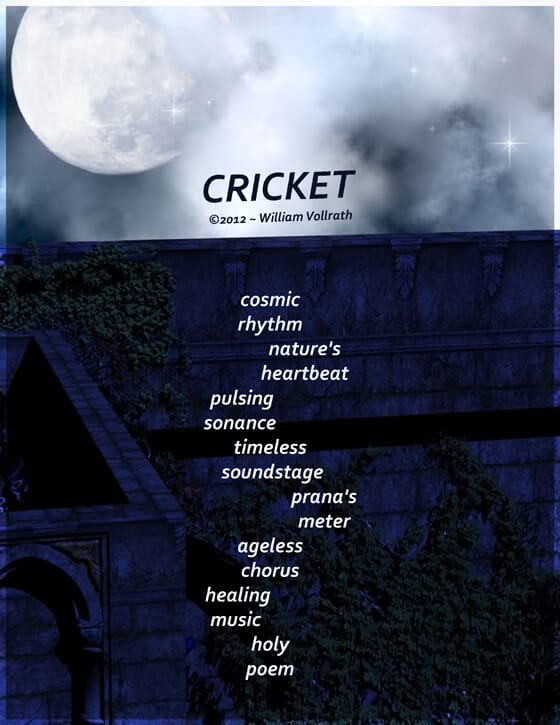 cosmic, nature, healing, heart, William Vollrath