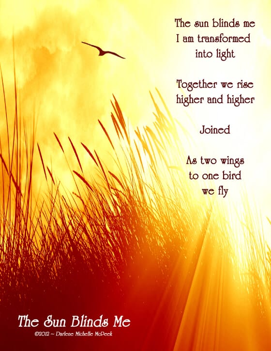 sun, transformation, light, wings, fly, Darlene McPeek