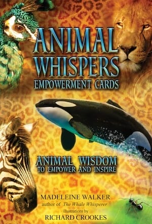 Animal Whisper Empowerment Cards