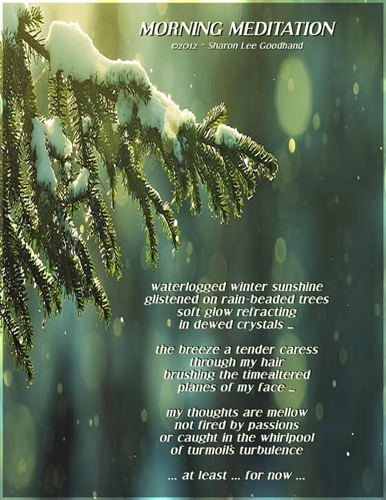 winter, sunshine, trees, caress, time, passion,  Sharon Lee Goodhand