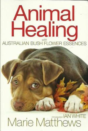 nimal Healing Book Cover