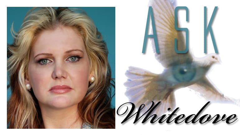 ask-whitedove-header