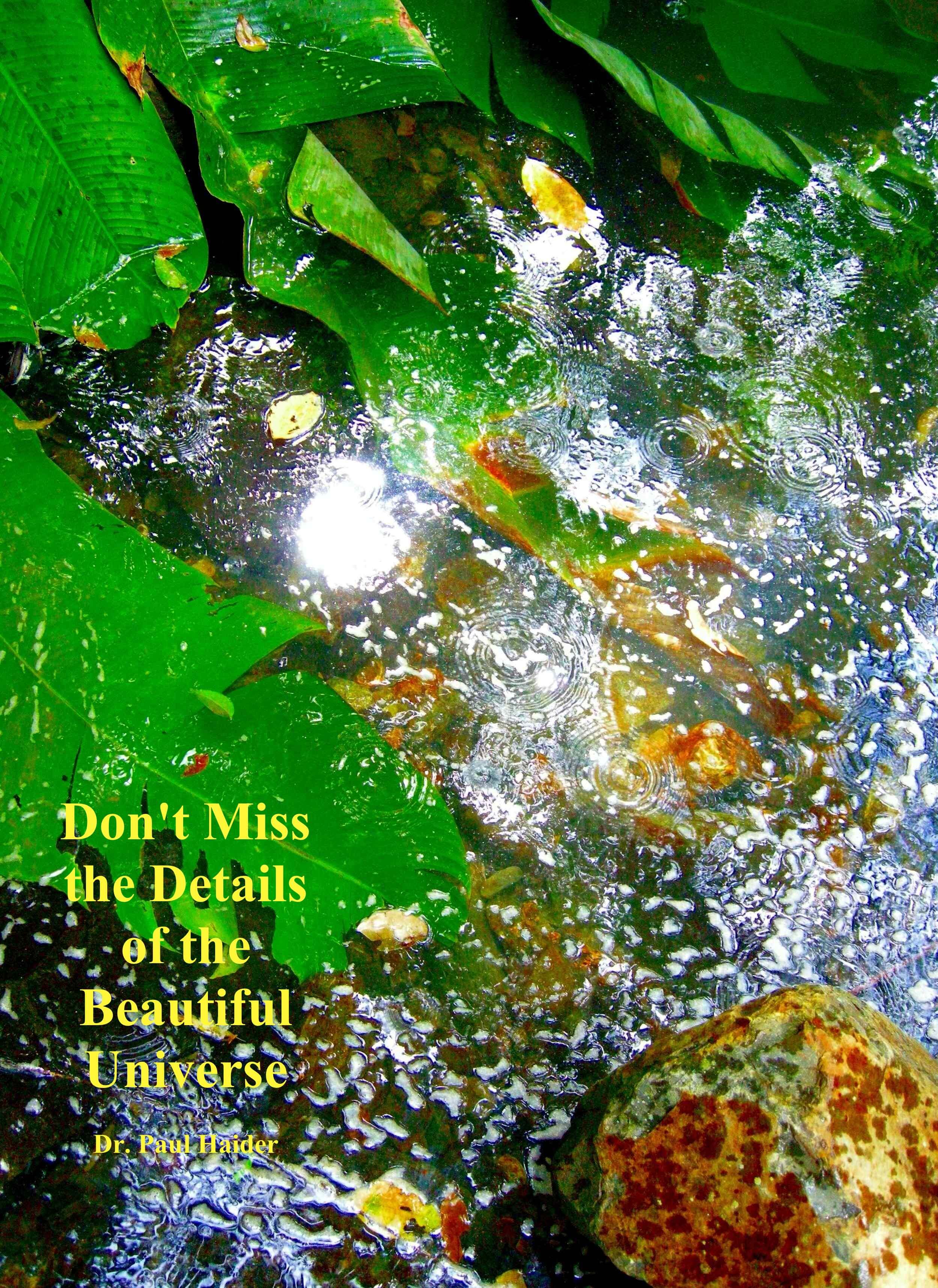 finding beauty everywhere- day 22