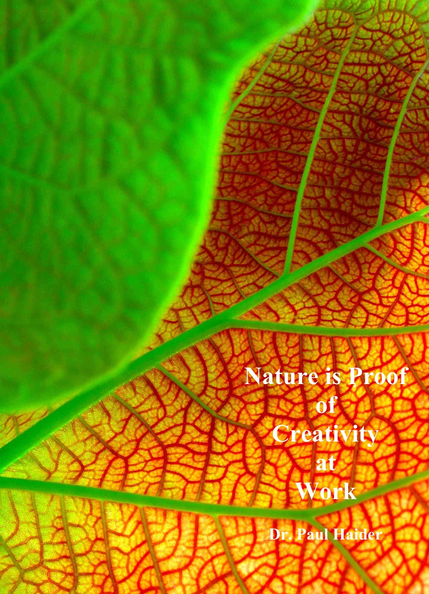 finding beauty everywhere- day 23