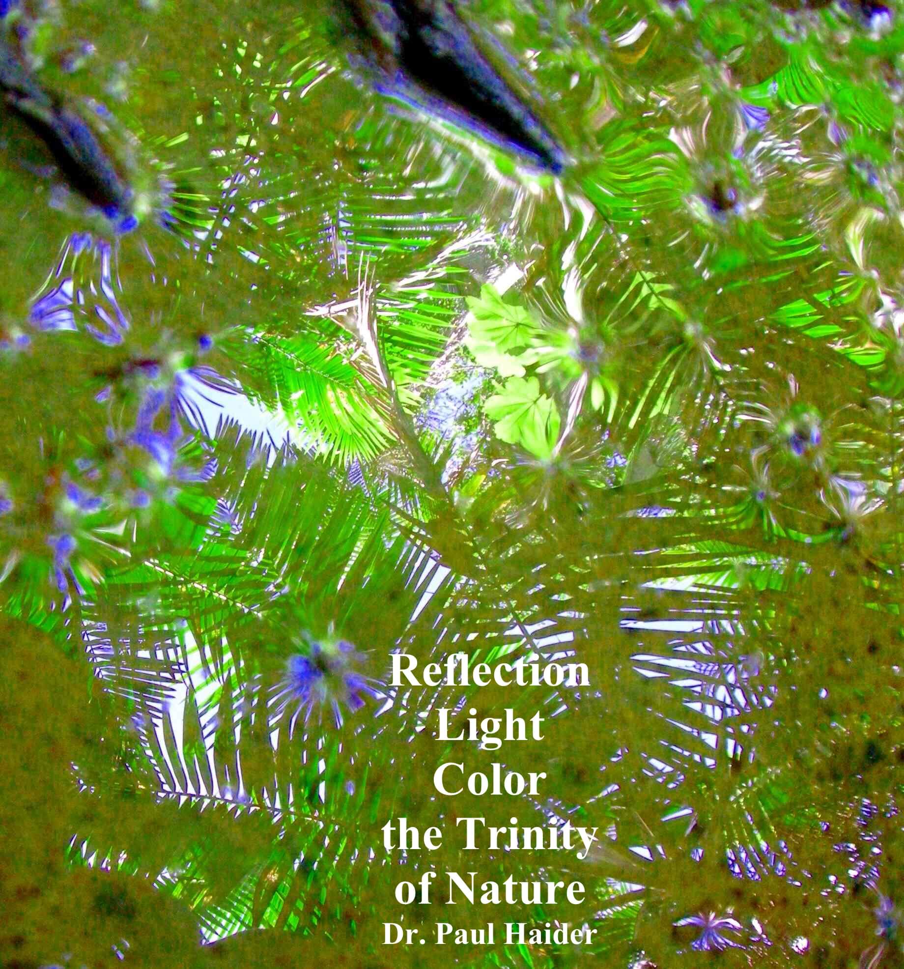 finding beauty everywhere- day 24