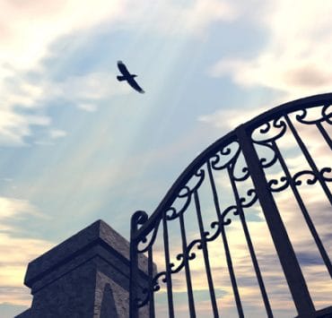 what-is-your-emotional-staring-gate