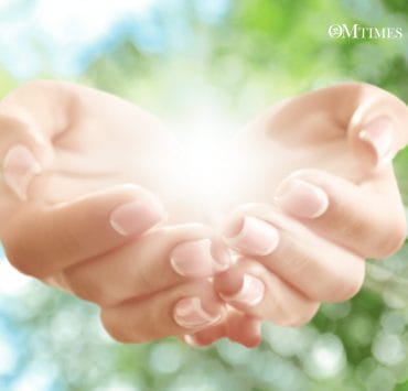 Divine Light OMTimes