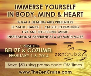 TheZenCruiseWebBanner300x250_OMTimes
