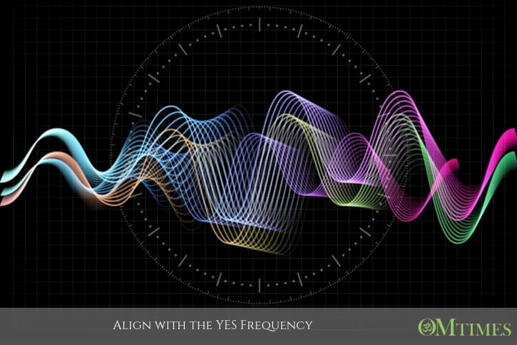Yes Frequency OMTimes