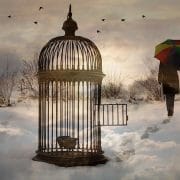 Book_of_afformation_omtimes