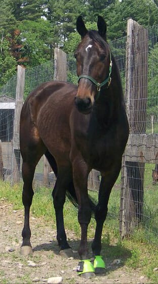 StellarHall_law of attraction_Omtimes