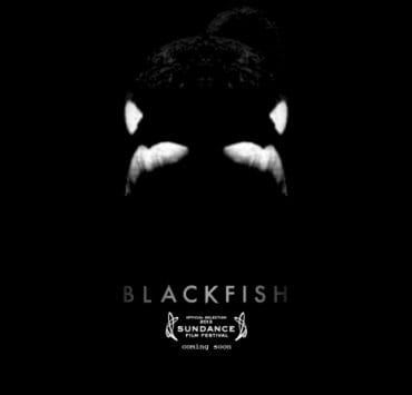 blackfish_omtimes