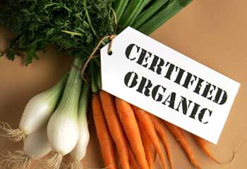 Organic food_GaiamTV_omtimes