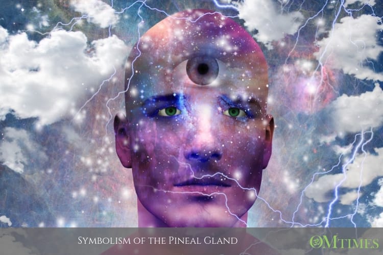 Pineal Gland OMTimes