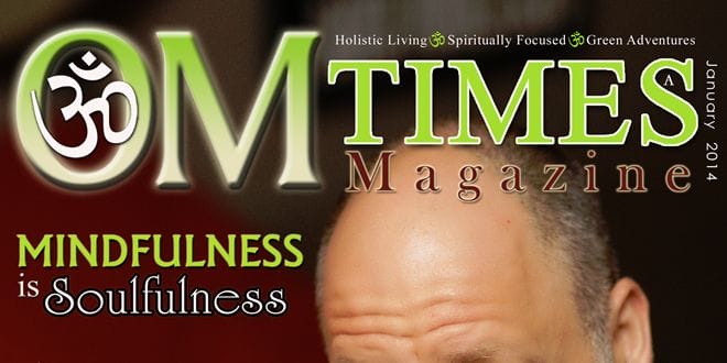 JanA2014_PSelig copy