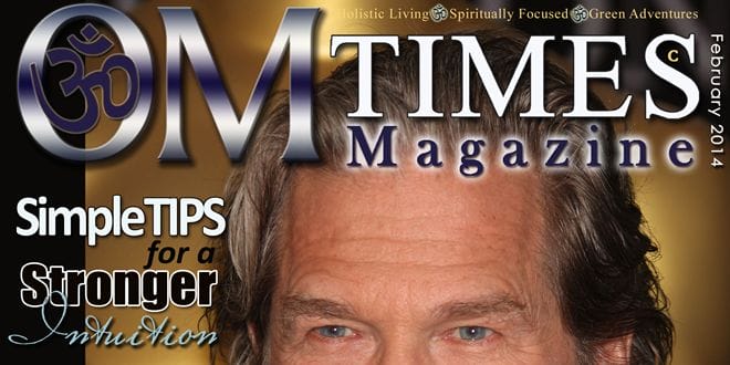 OMTimes Magazine February C 2014 header