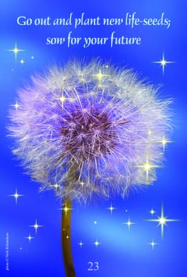 Card 23 Dandelion