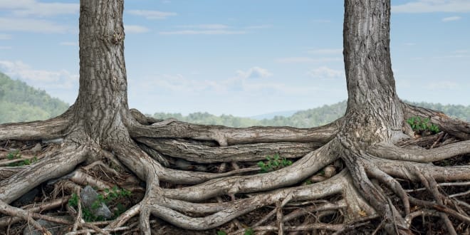 integrity_oracle_OMTimes