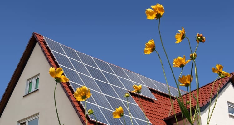 feng-shui_eco-projects_OMTimes