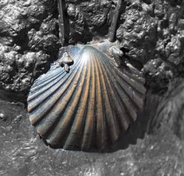 embracing-change_inner-camino_OMTimes