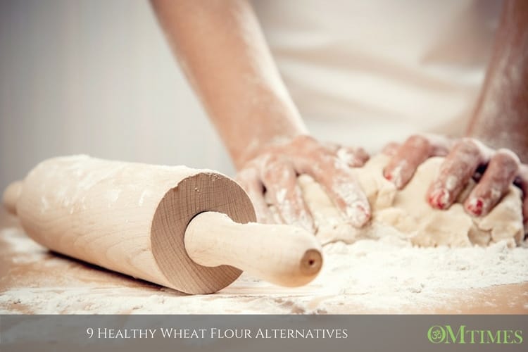 Wheat Flour Alternatives OMTimes