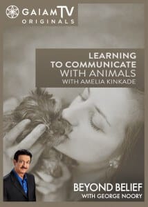 BB-LearnToCommunicateAnimals