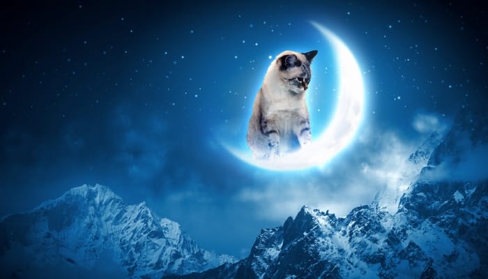 Leo-new-moon_OMTimes