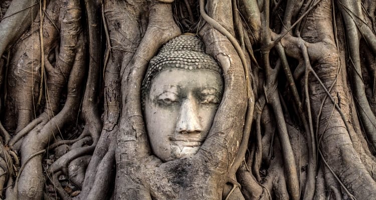 Buddha_OMTimes