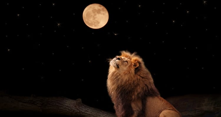 Leo-full-moon_OMTimes