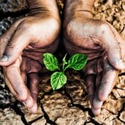 express-greatness_OMTimes