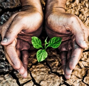 express-greatness_OMTimes