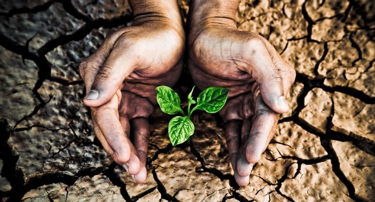 express-greatness_OMTimes