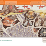 How-the-trees-got-their-voices_OMTimes