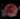 Blood-Moon-in-Aries_OMTimes