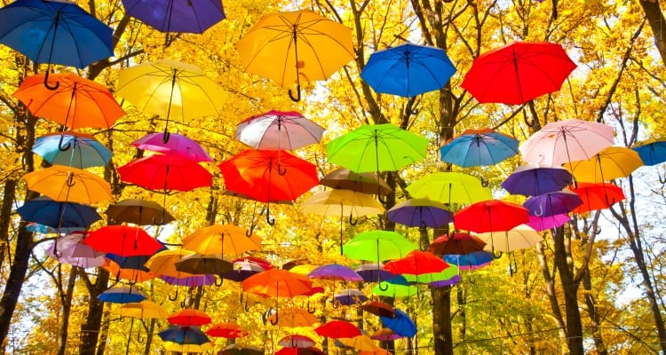 everything-changes_OMTimes